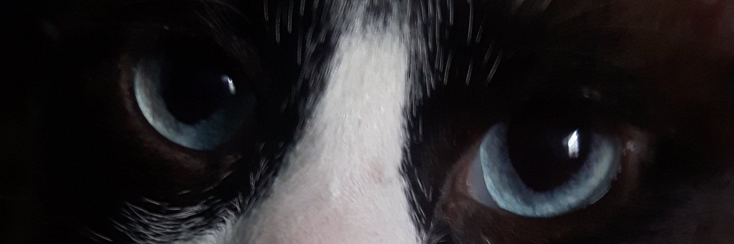 Claudydm12's profile banner image