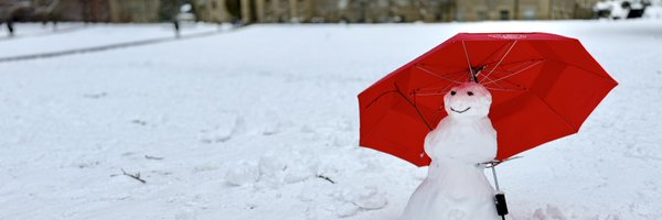 Cornell Profile Banner