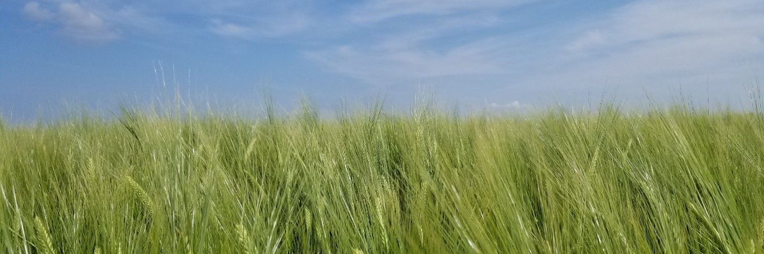 Andrew Hector's banner