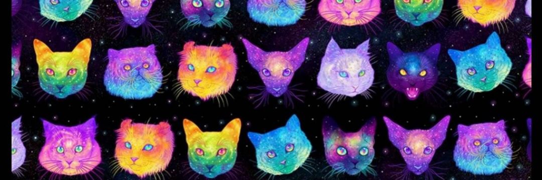 Mariaevess's profile banner image