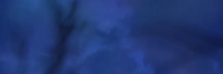 ….. banner