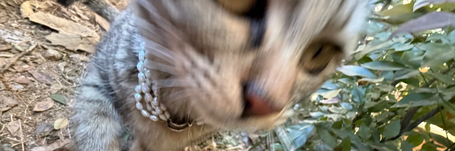 ✪ banner