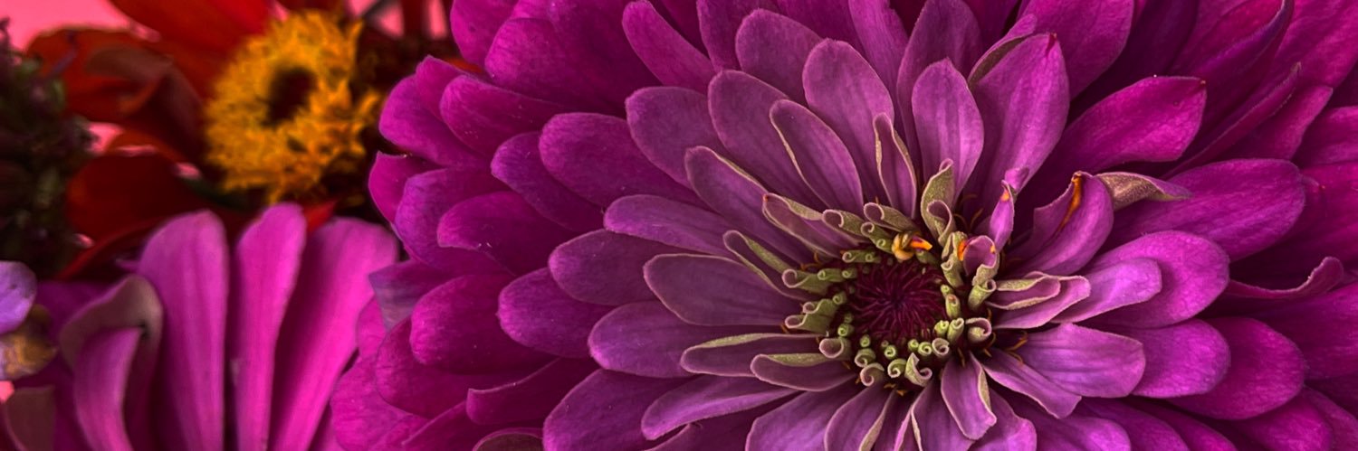 AgnesBMiles's profile banner image