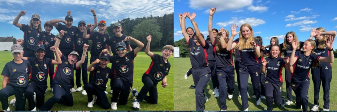 Norfolk Cricket Pathway banner