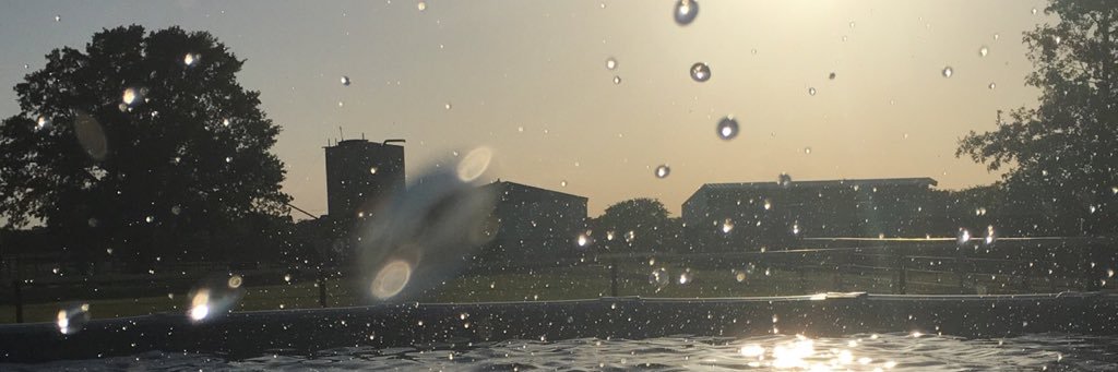 AlainaRaeann's profile banner image