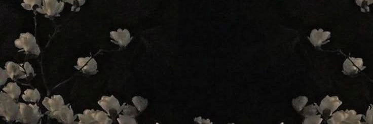 LenLex513's profile banner image