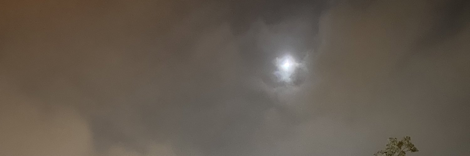 diegofavo's profile banner image