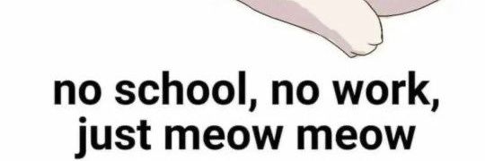 cilbolu's profile banner image