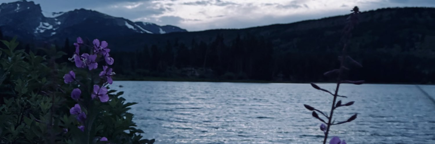 kamberhiggins_9's profile banner image