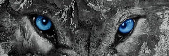 _EHamilton's profile banner image