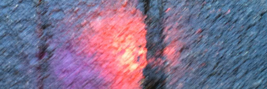 lynco's profile banner image