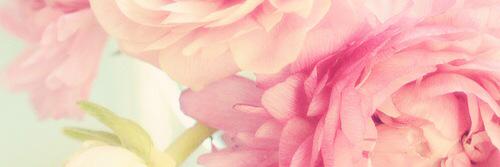 choco0121's profile banner image