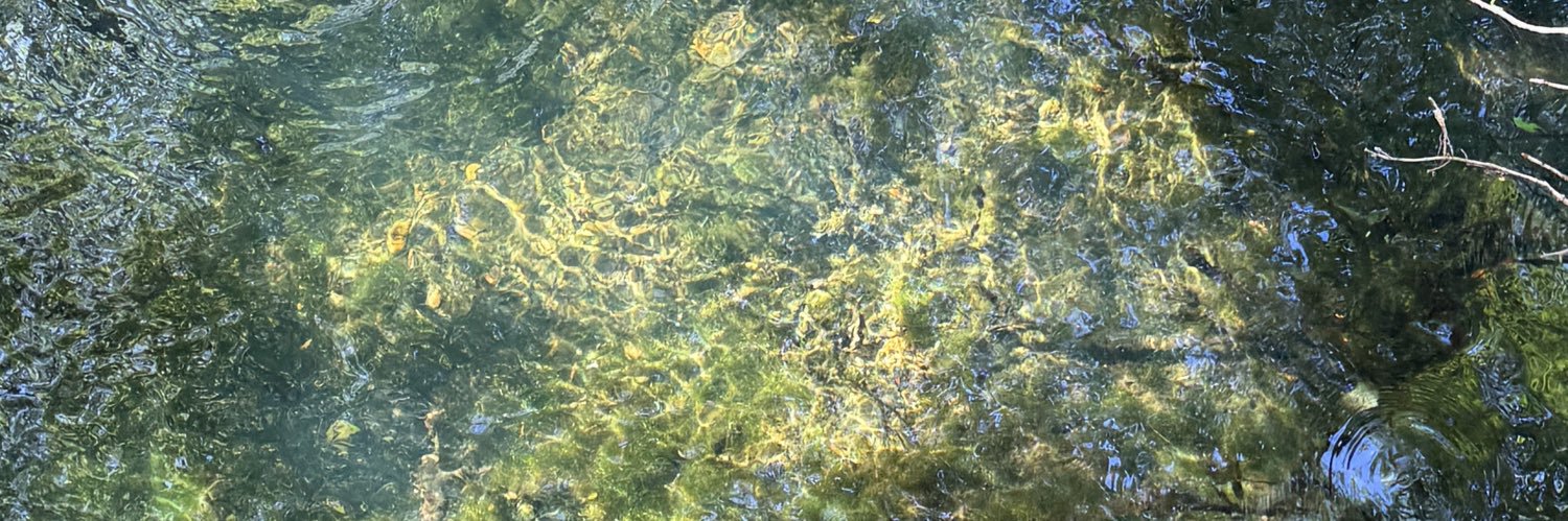 Rat ✦🐀✦ banner