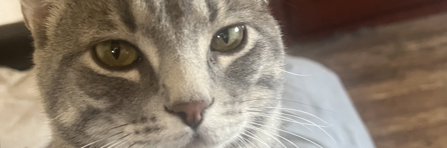 scratch banner