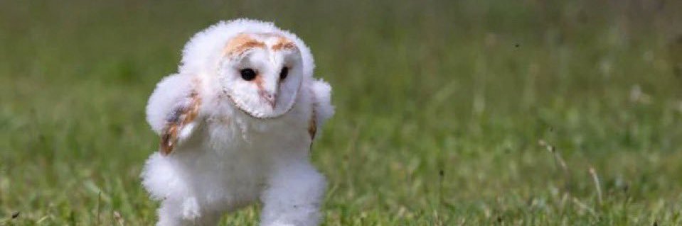 たらさぶ フォロバ100 banner