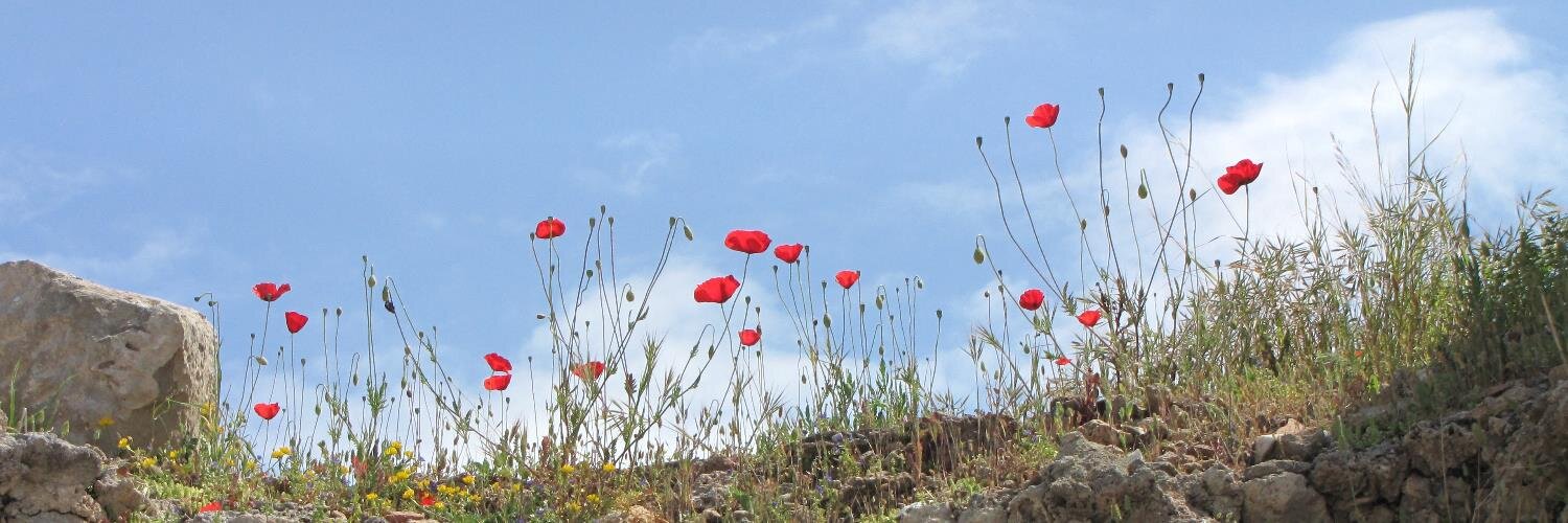 Martin Duits 🇳🇱 banner