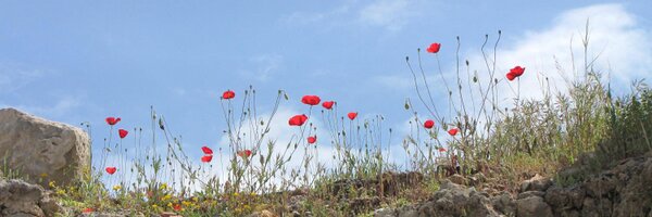 MartinDuits Profile Banner