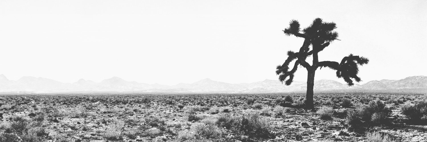 rools_'s profile banner image