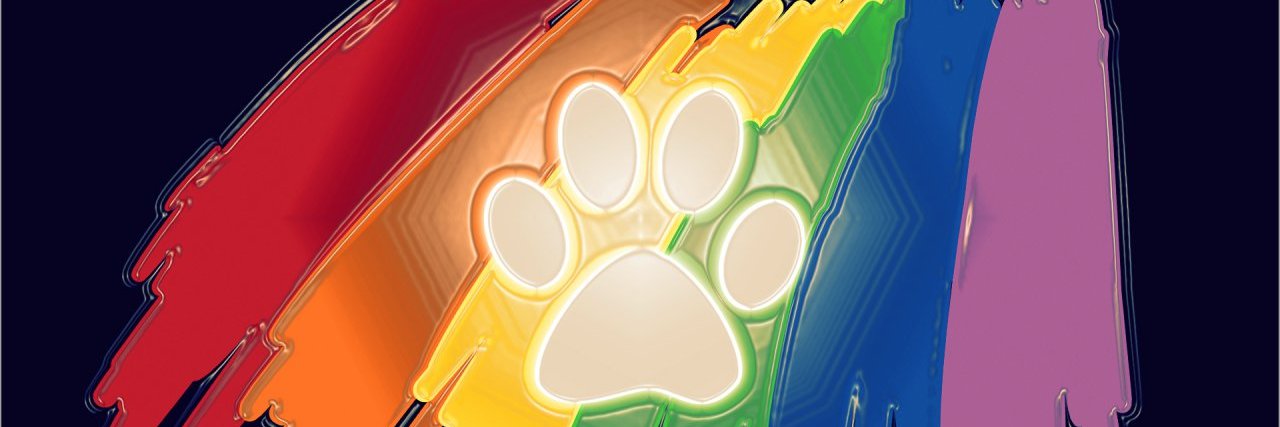 🪄♠️Tenkai Husky ♠️🪄 banner