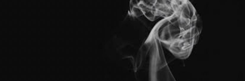 gercegiarayan's profile banner image