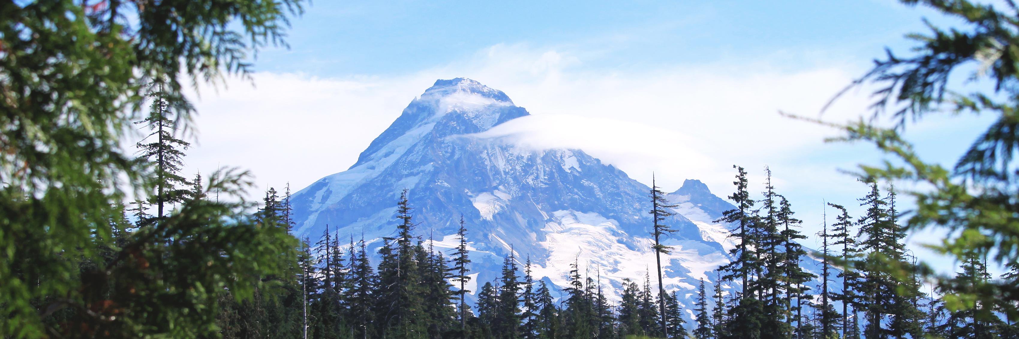 tvarnau's profile banner image