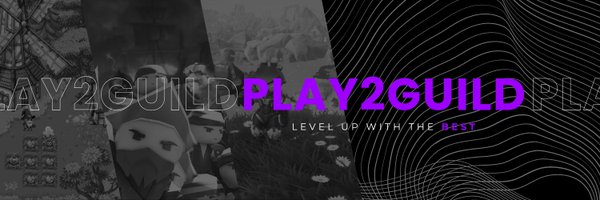 Play2Guild Profile Banner