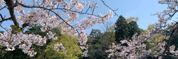 sshimizu2006 Profile Banner