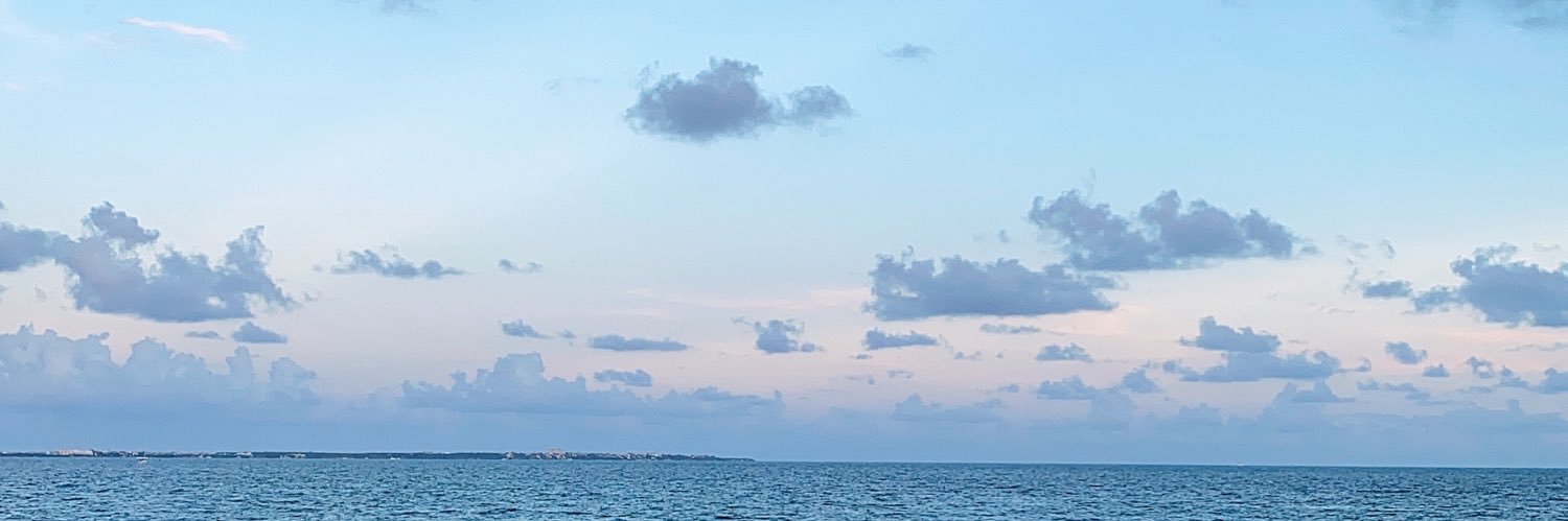 RocioMenar's profile banner image