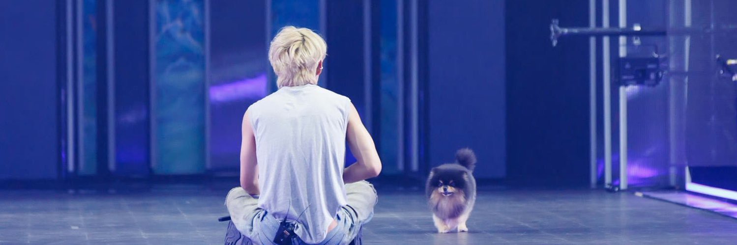 noir⁷ banner