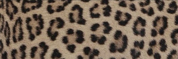 faminexo Profile Banner