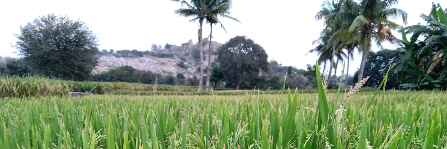 AJAzhermehdi's profile banner image