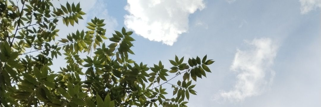miwpussi_com's profile banner image