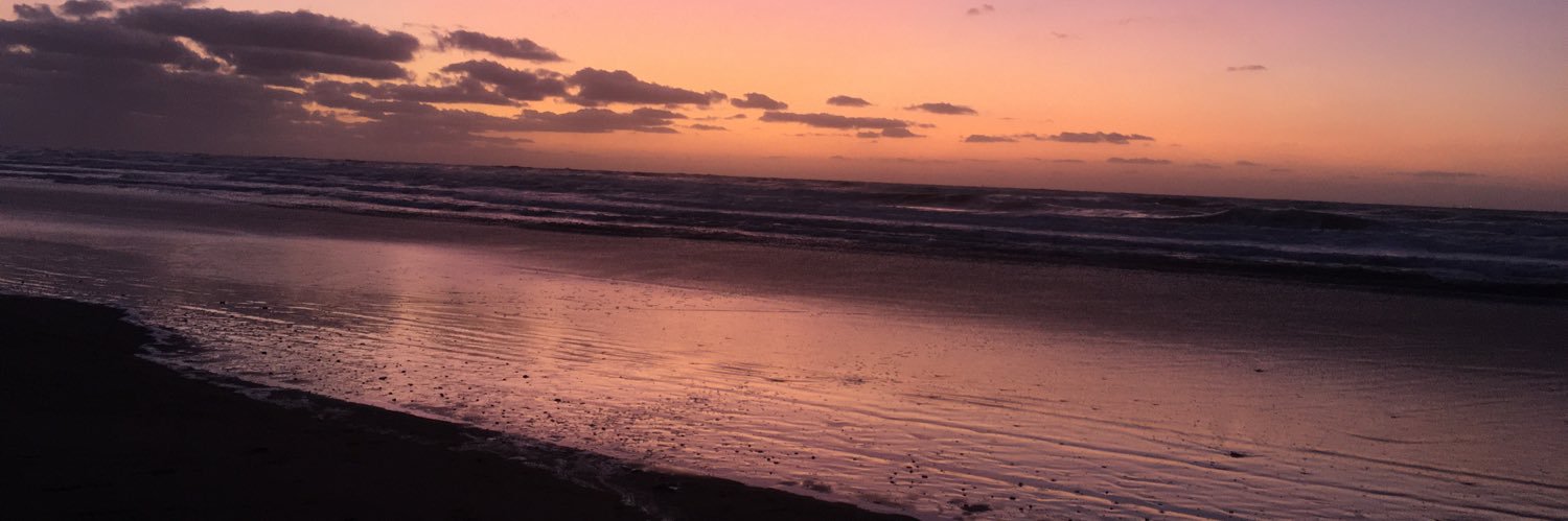 CarlaSolorza's profile banner image