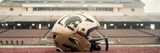 Gridiron Catz banner