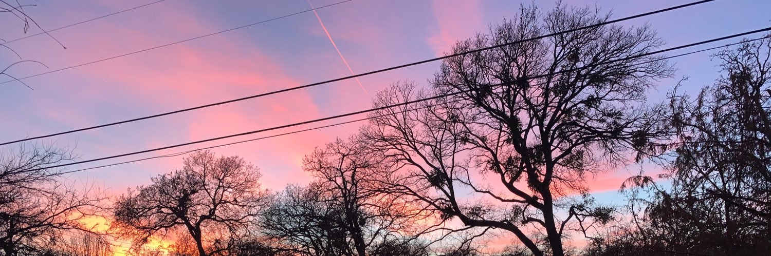 carlypacker's profile banner image