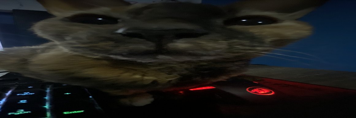 DrFox🆖 banner