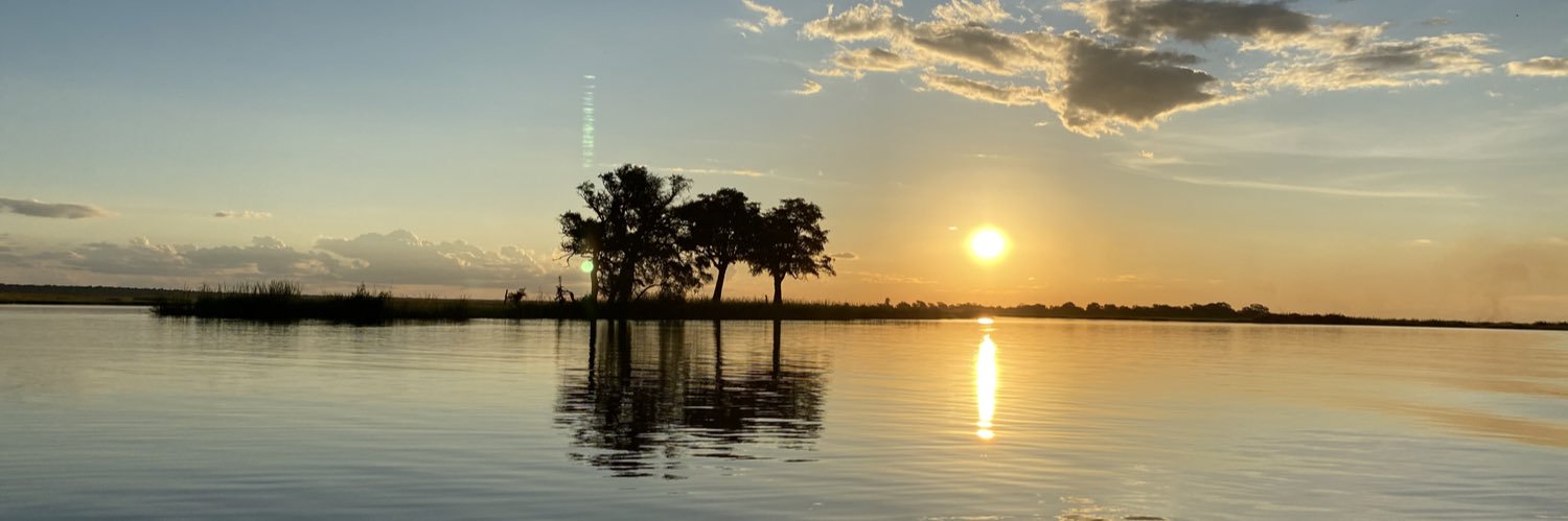 Francois vd Merwe banner