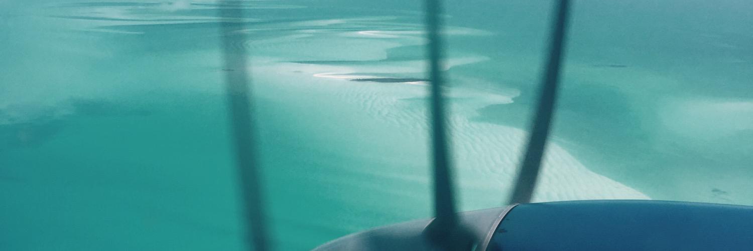 Rachel Horvath banner