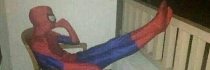 dav¡ spidey ➃ banner