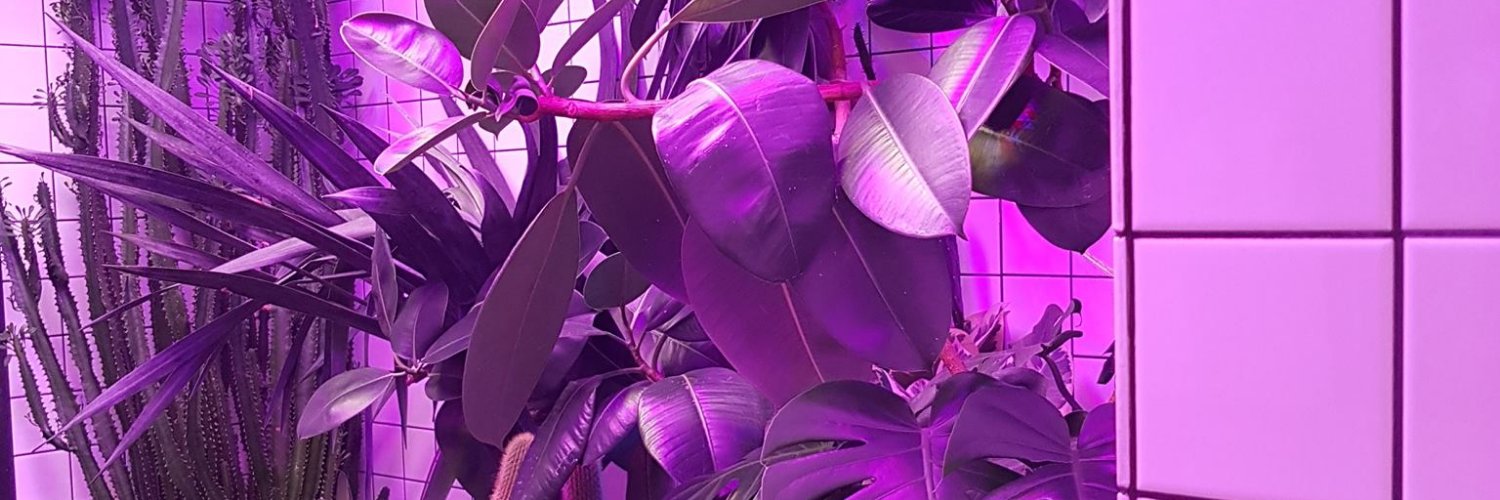 🇺🇦 Anton Moldovan banner