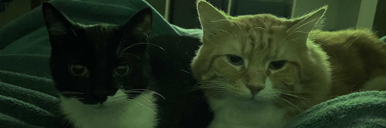 _Jackengland_'s profile banner image