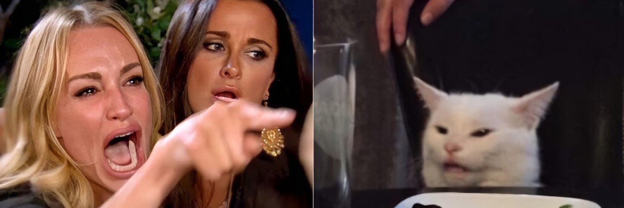 Smudge The Cat Token banner