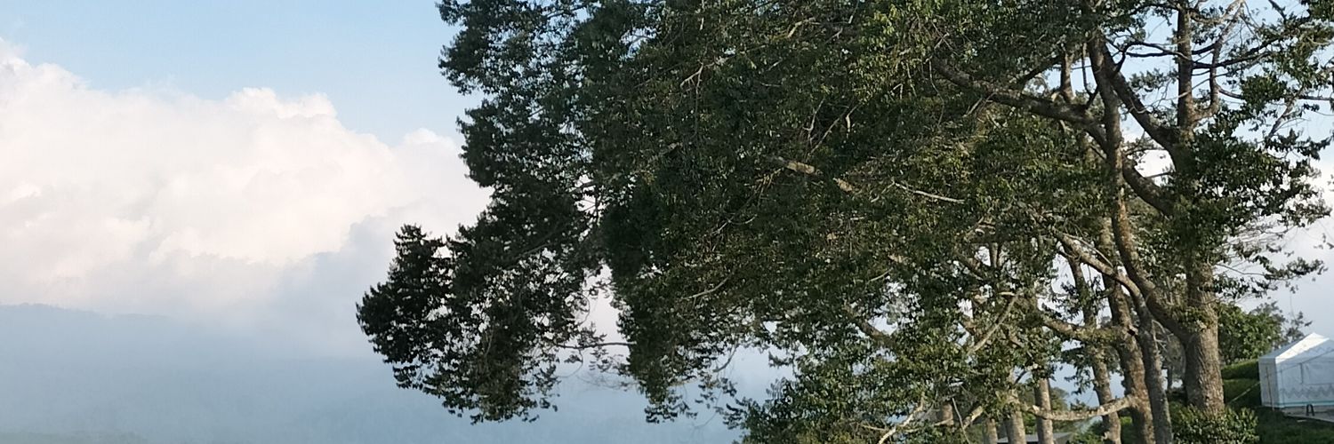 ms_daisy37's profile banner image
