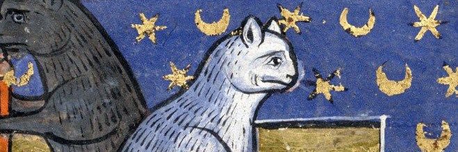 CosmicCat's profile banner image
