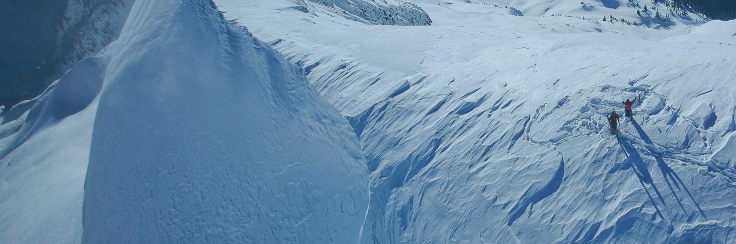 HeliCatCanada's profile banner image