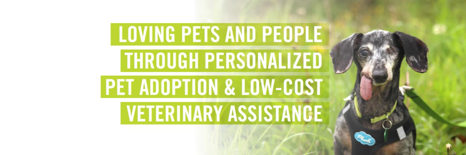 thepixieproject banner