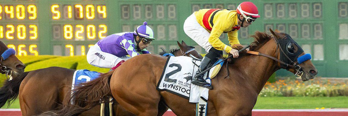 Caliente Thoroughbred’s banner