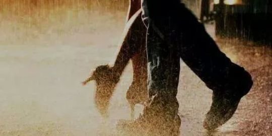 _dilek2's profile banner image