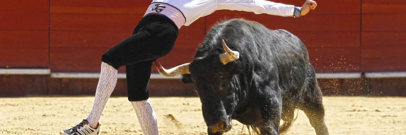 Joaquin Gadea banner
