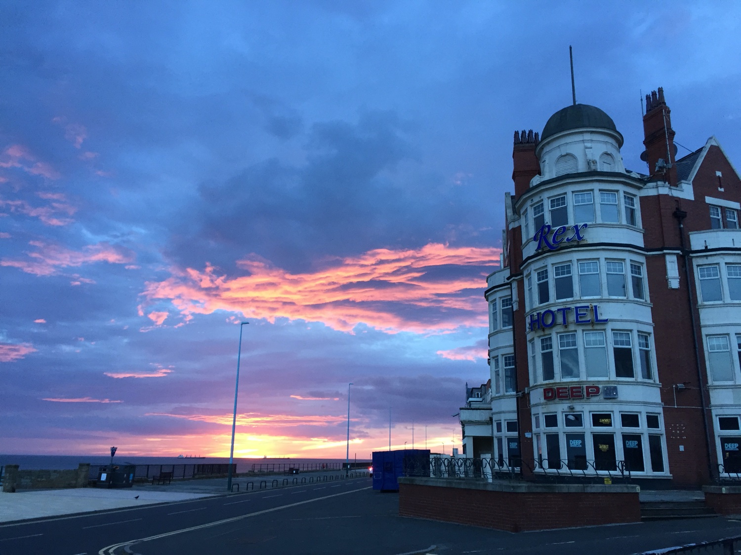 PalomaColombo banner